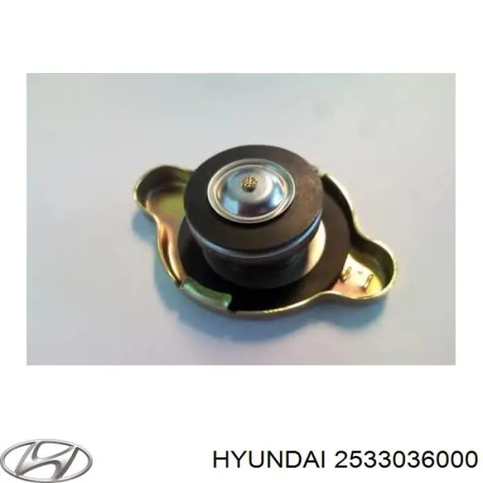 2533036000 Hyundai/Kia tapa radiador