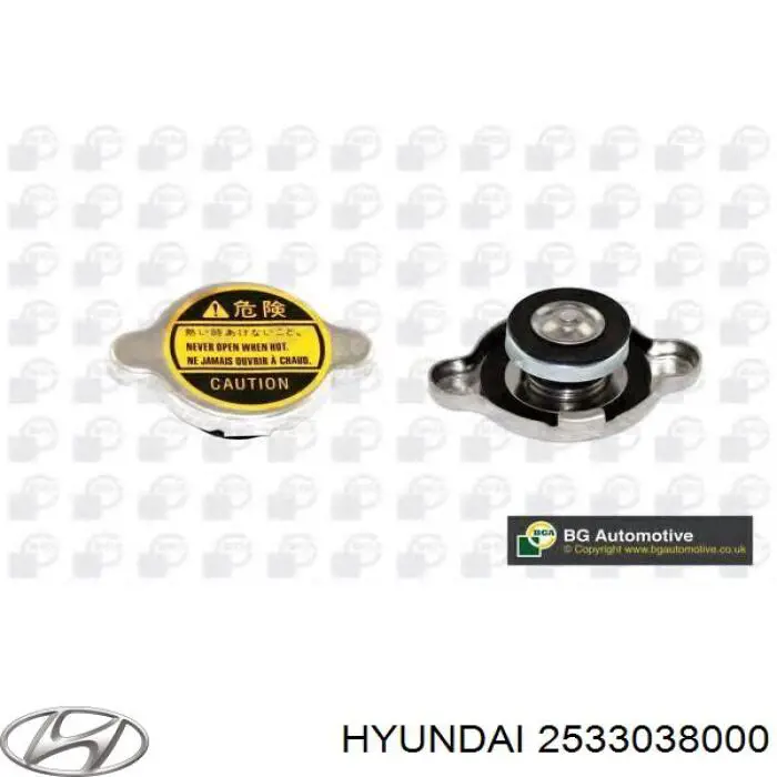 Tapón del radiador Hyundai/Kia 2533038000
