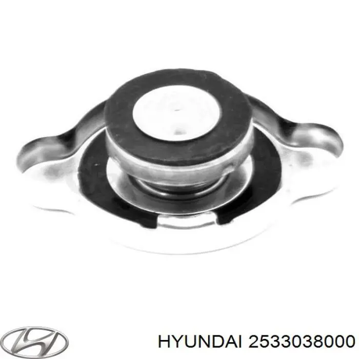 Tapa radiador 2533038000 Hyundai/Kia