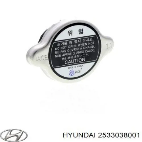 2533038001 Hyundai/Kia tapa radiador