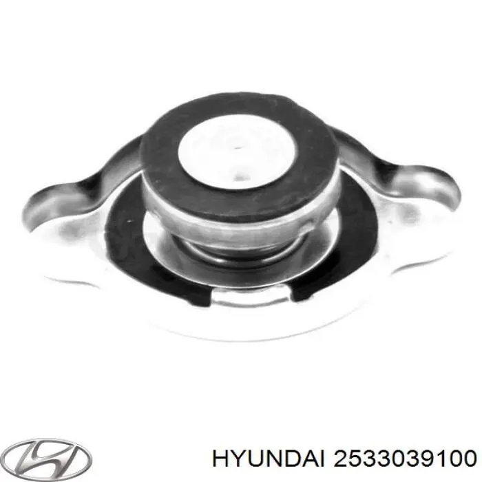 Comprar 2533039100 Hyundai/Kia Tapa radiador