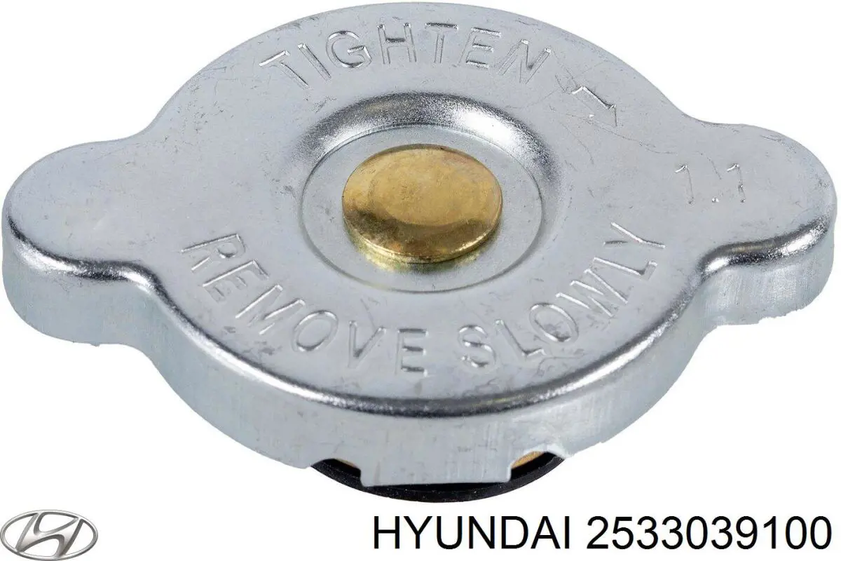 2533039100 Hyundai/Kia tapa radiador