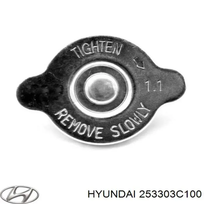 253303C100 Hyundai/Kia Tapa de radiador
