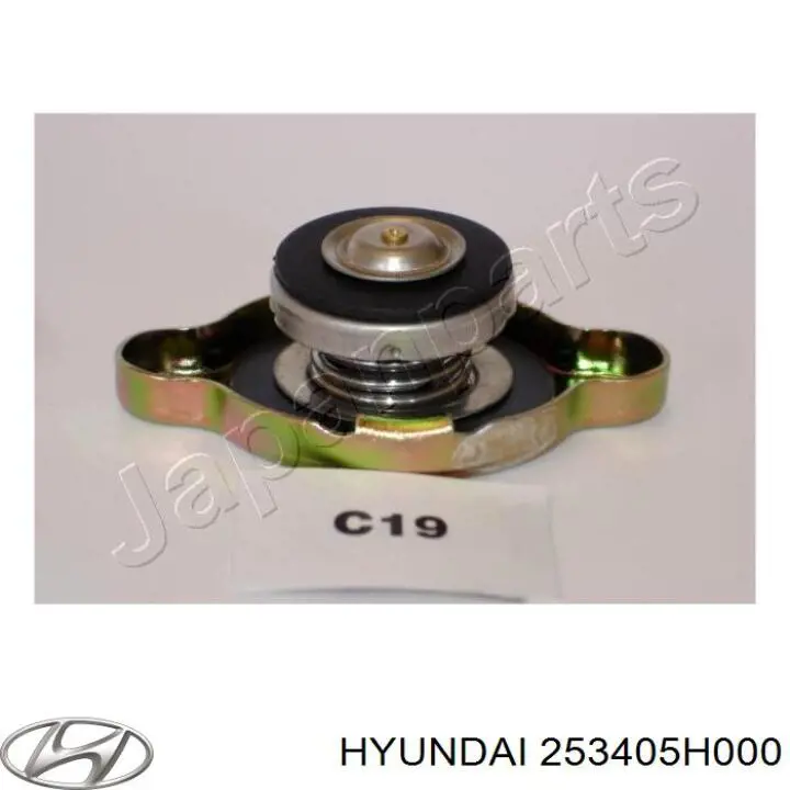 253405H000 Hyundai/Kia tapa radiador