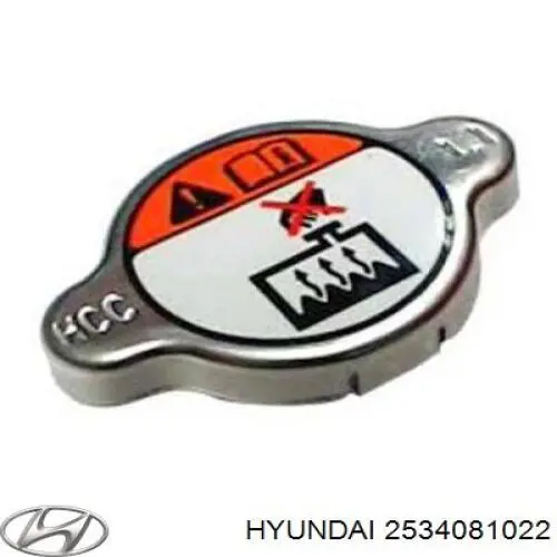 2534081022 Hyundai/Kia