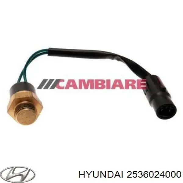 2536024000 Hyundai/Kia sensor, temperatura del refrigerante (encendido el ventilador del radiador)