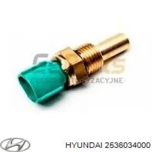 2536034000 Hyundai/Kia Interruptor térmico