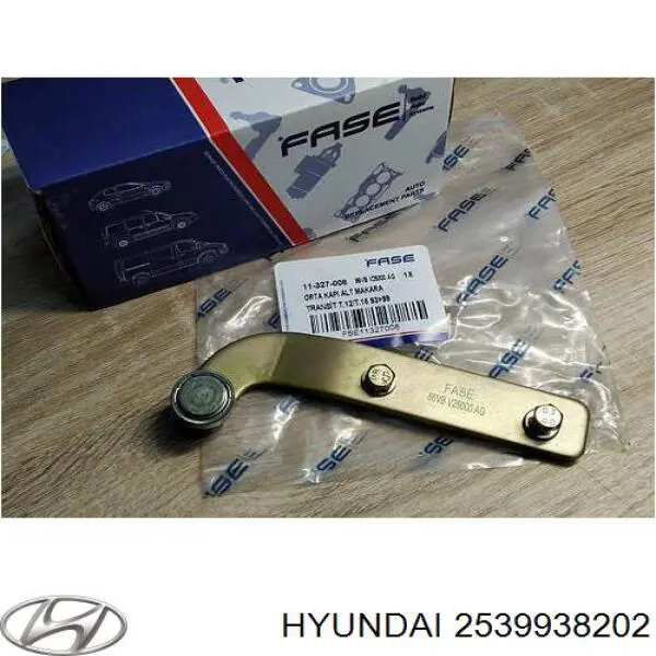 2539938202 Hyundai/Kia