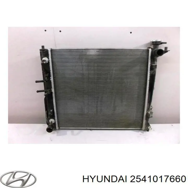 2541017660 Hyundai/Kia