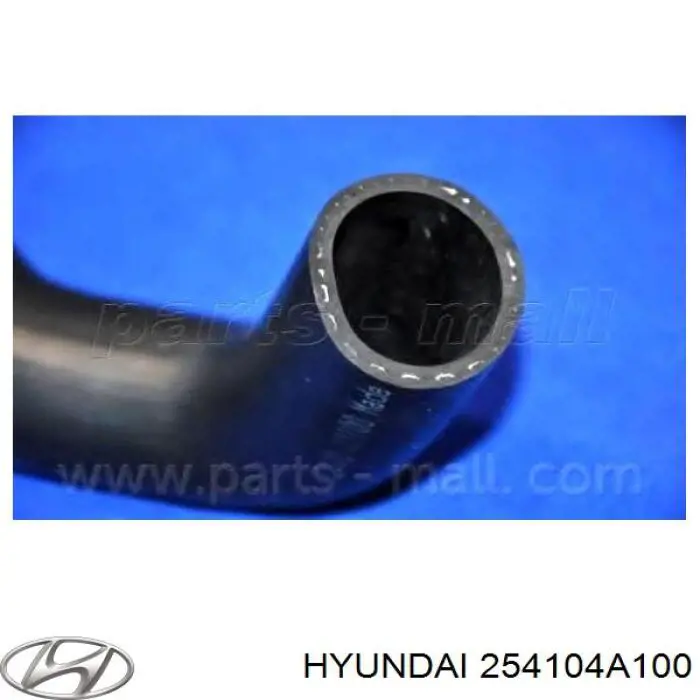 254104A100 Hyundai/Kia tubería de radiador arriba