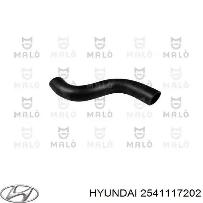 2541117202 Hyundai/Kia