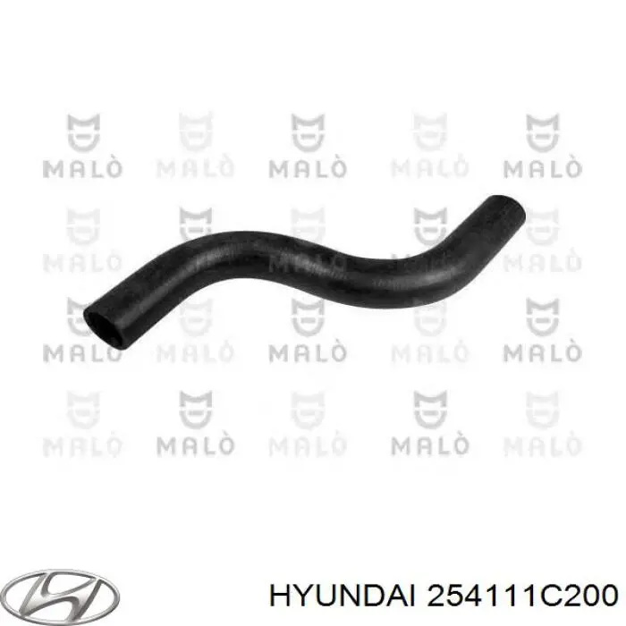 254111C200 Hyundai/Kia tubería de radiador arriba