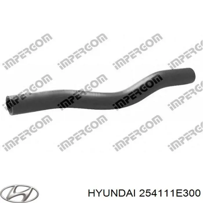 254111E300 Hyundai/Kia tubería de radiador arriba