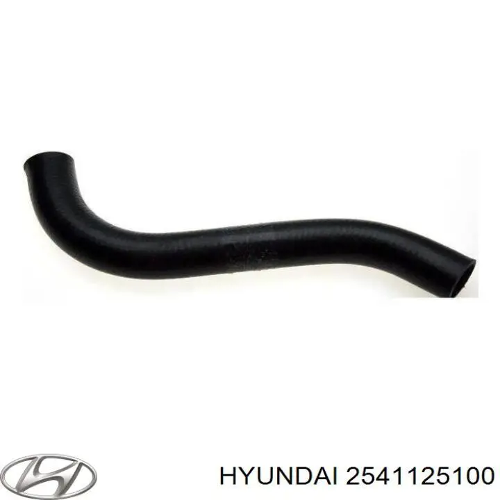 2541125100 Hyundai/Kia tubería de radiador arriba