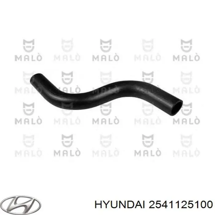 Manguera superior del radiador Hyundai/Kia 2541125100 precio, desde 11,74 EUR