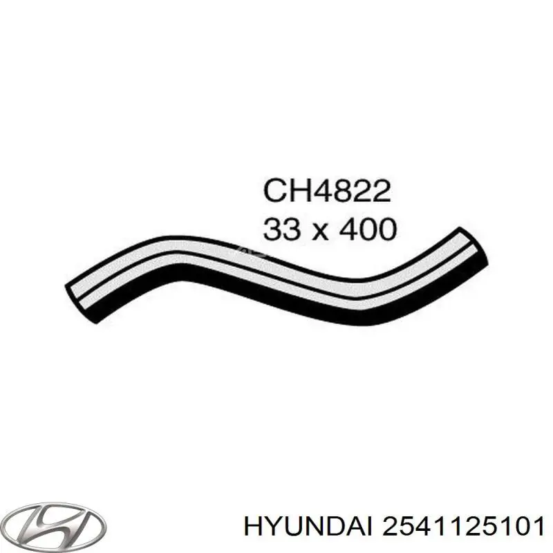 2541125101 Hyundai/Kia tubería de radiador arriba