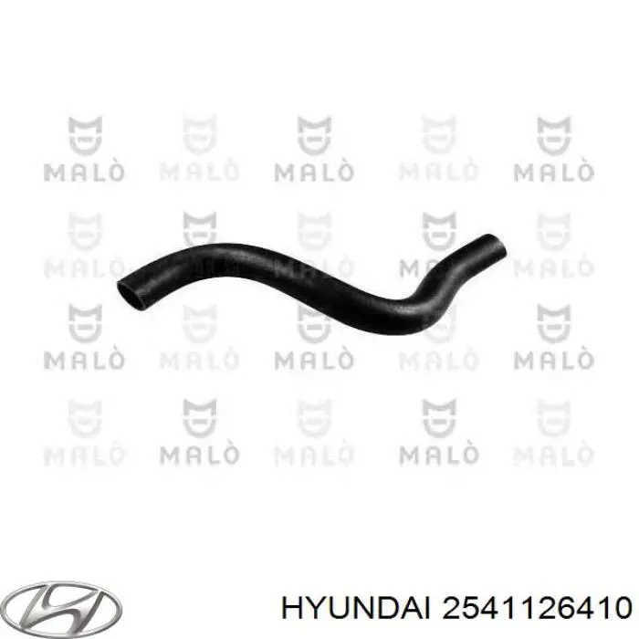 2541126410 Hyundai/Kia tubería de radiador arriba