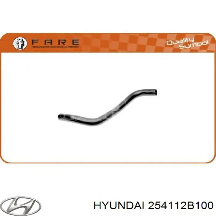 Manguera de radiador arriba para Hyundai Santa Fe (CM)