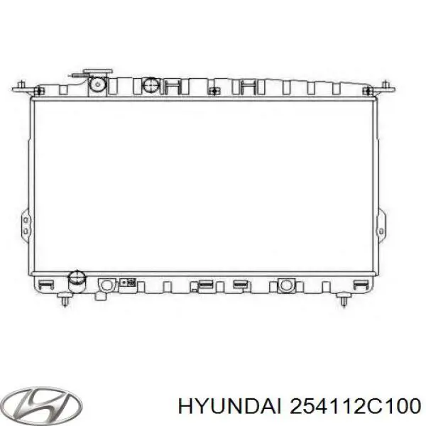 254112C100 Hyundai/Kia tubería de radiador arriba