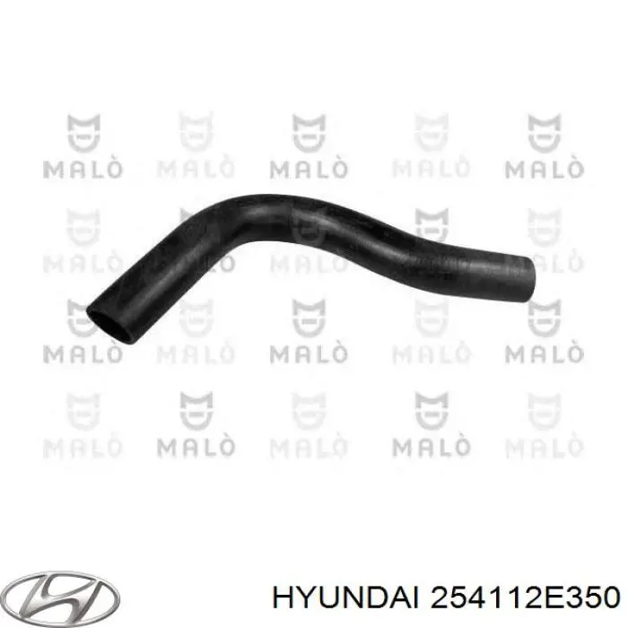 254112E350 Hyundai/Kia tubería de radiador arriba