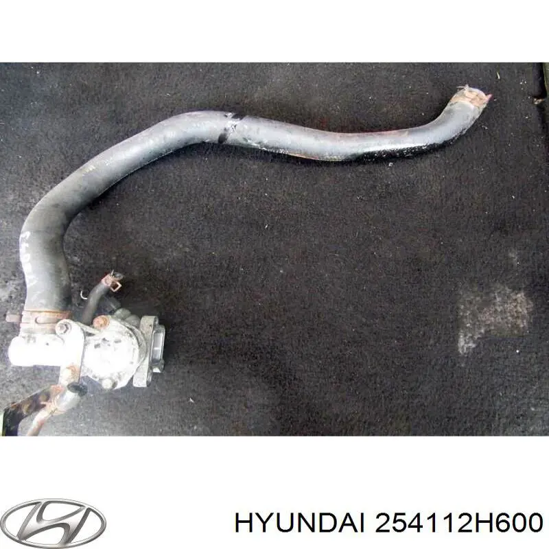 Manguera superior del radiador Hyundai/Kia 254112H600 precio, desde 46,81 EUR