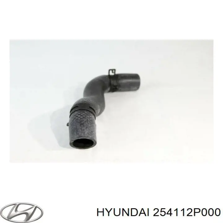 254112P000 Hyundai/Kia