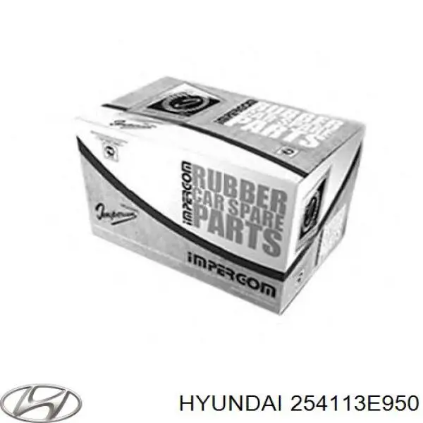 254113E950 Hyundai/Kia