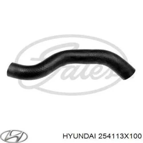254113X100 Hyundai/Kia tubería de radiador arriba