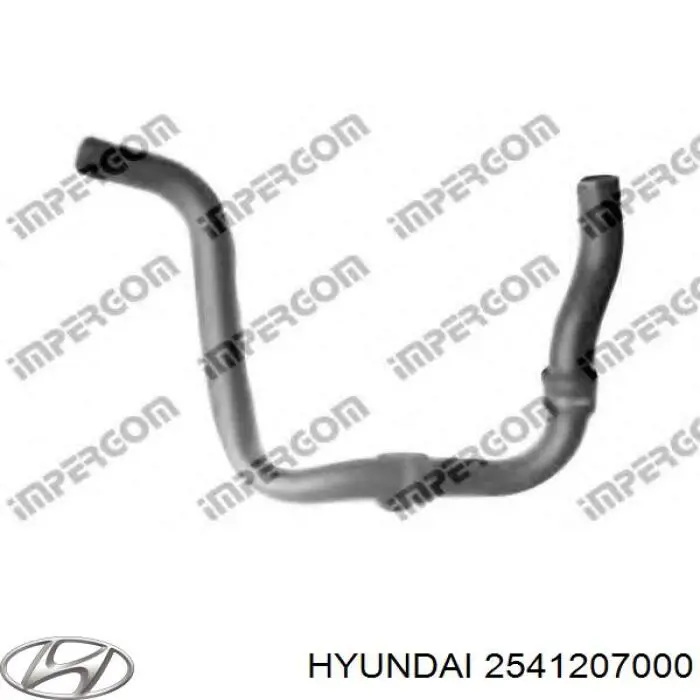 Manguera inferior del radiador Hyundai/Kia 2541207000 precio, desde 26,35 EUR