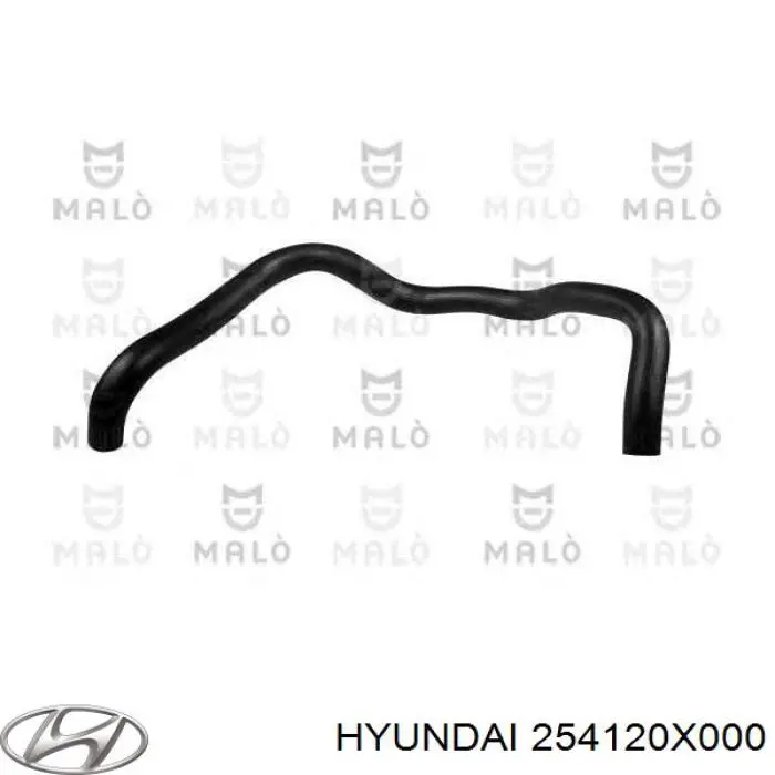 254120X000 Hyundai/Kia manguera refrigerante para radiador inferiora