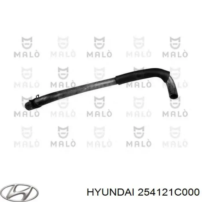 254121C000 Hyundai/Kia