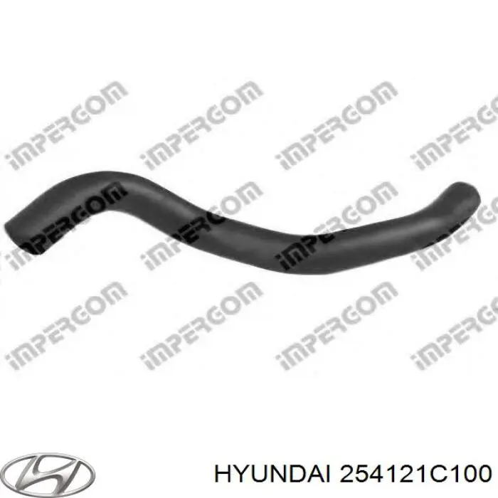 254121C100 Hyundai/Kia manguera refrigerante para radiador inferiora