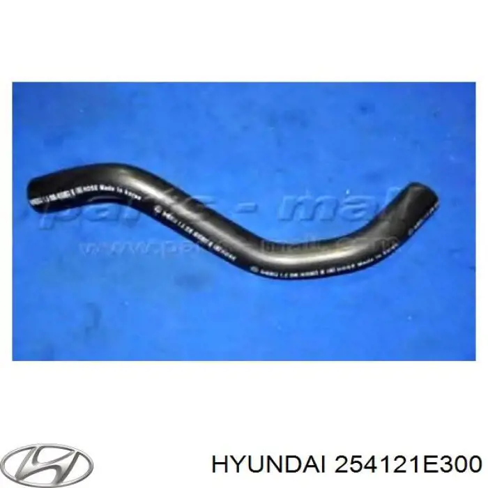 254121E300 Hyundai/Kia manguera refrigerante para radiador inferiora