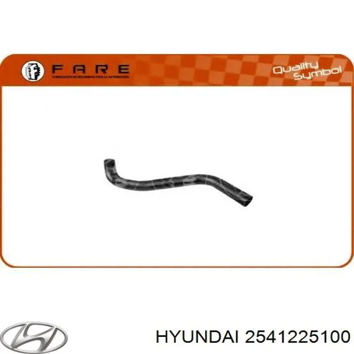 2541225100 Hyundai/Kia manguera refrigerante para radiador inferiora