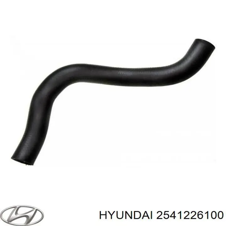 2541226100 Hyundai/Kia