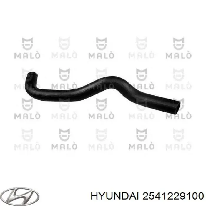 2541229100 Hyundai/Kia manguera refrigerante para radiador inferiora