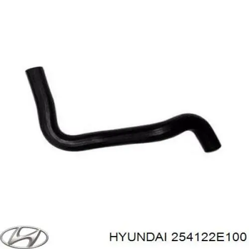 254122E100 Hyundai/Kia manguera refrigerante para radiador inferiora