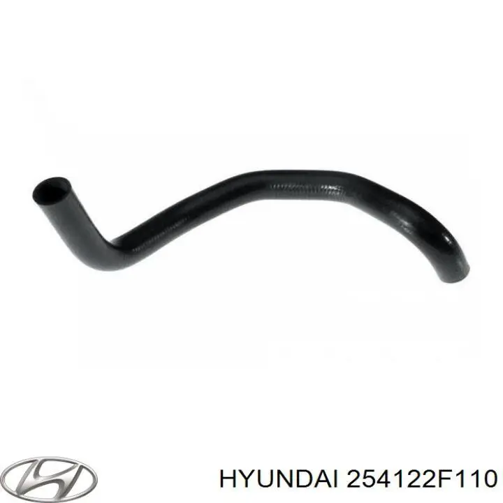 254122F110 Hyundai/Kia