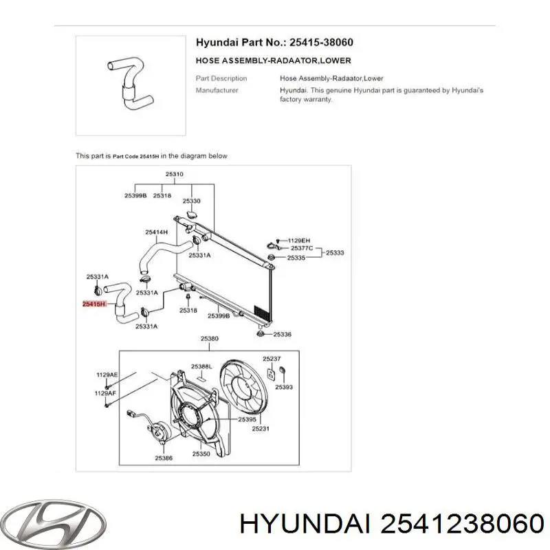 2541238060 Hyundai/Kia manguera refrigerante para radiador inferiora