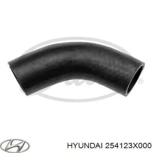 254123X000 Hyundai/Kia manguera refrigerante para radiador inferiora