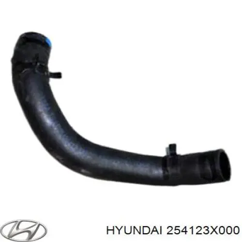 Manguera inferior del radiador Hyundai/Kia 254123X000 precio, desde 11,13 EUR