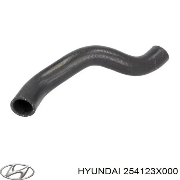 Comprar 254123X000 Hyundai/Kia Manguera inferior del radiador
