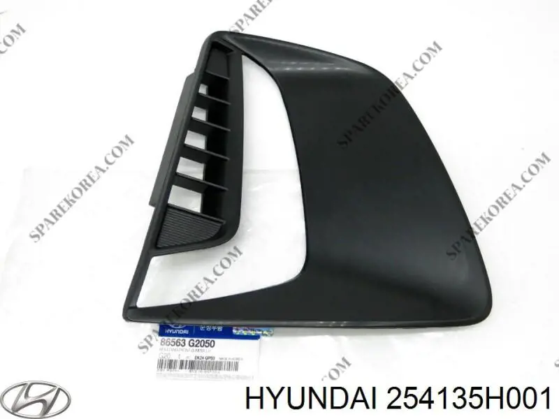 254135H001 Hyundai/Kia manguera refrigerante para radiador inferiora