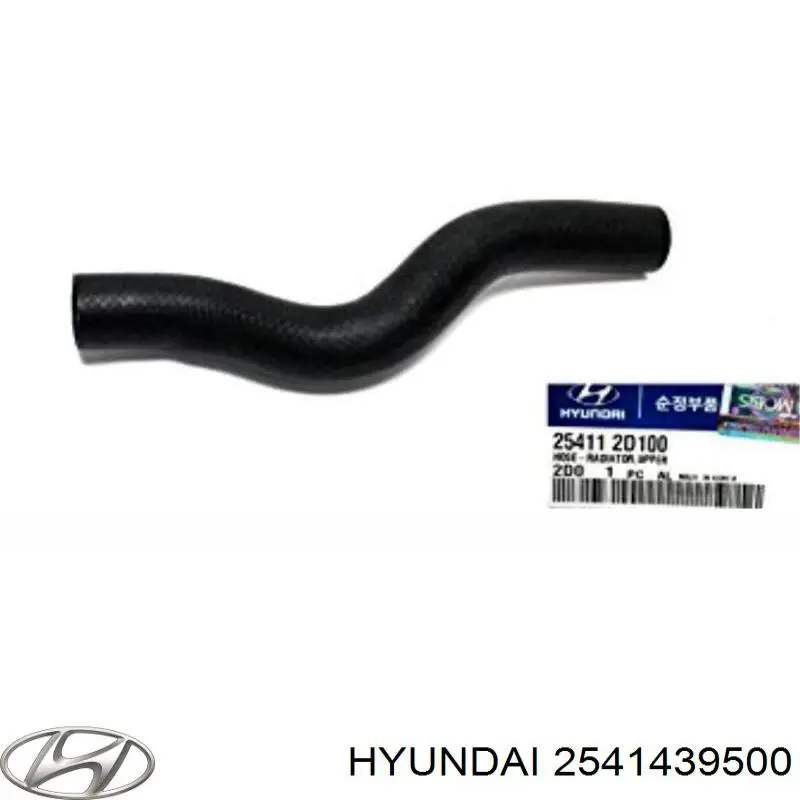 2541439500 Hyundai/Kia tubería de radiador arriba