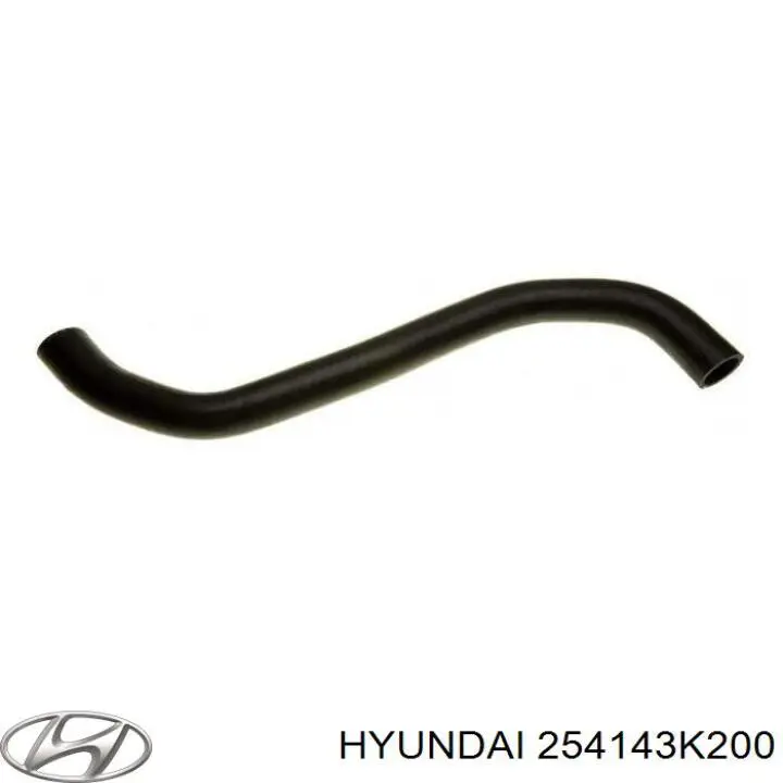 Manguera de radiador arriba para Hyundai Sonata (NF)
