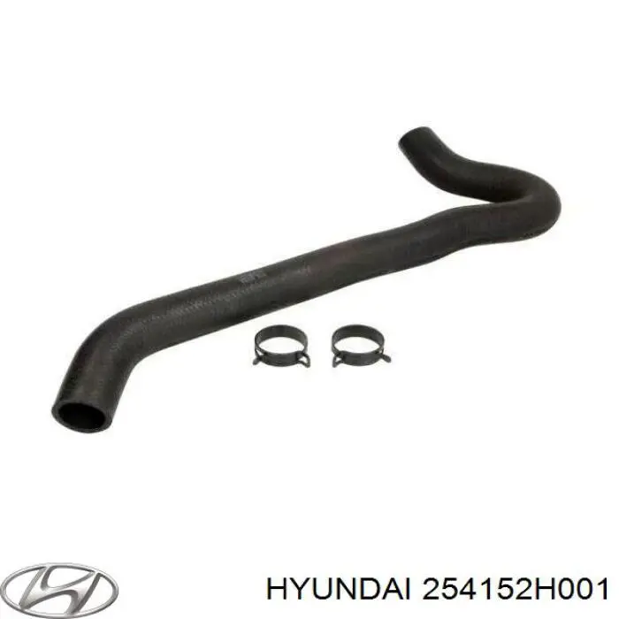 254152H001 Hyundai/Kia manguera refrigerante para radiador inferiora