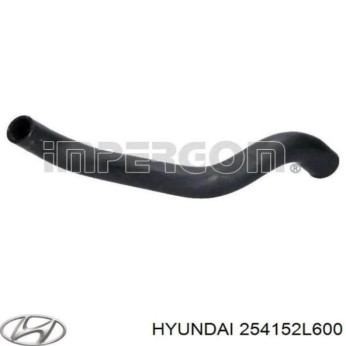 254152L600 Hyundai/Kia manguera refrigerante para radiador inferiora