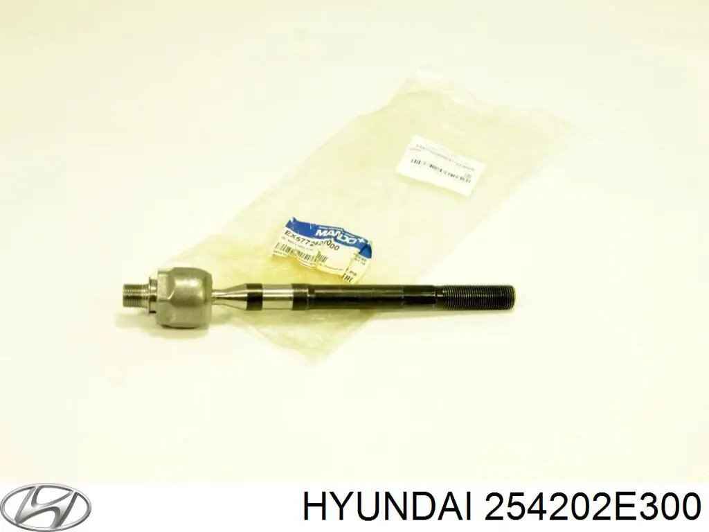 254202E300 Hyundai/Kia