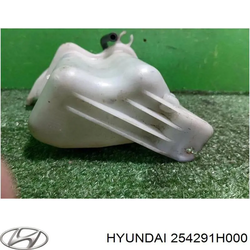 Botella expansion Hyundai/Kia 254291H000 precio, desde 77,99 EUR