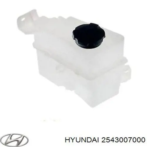 Botella expansion Hyundai/Kia 2543007000 precio, desde 32,88 EUR